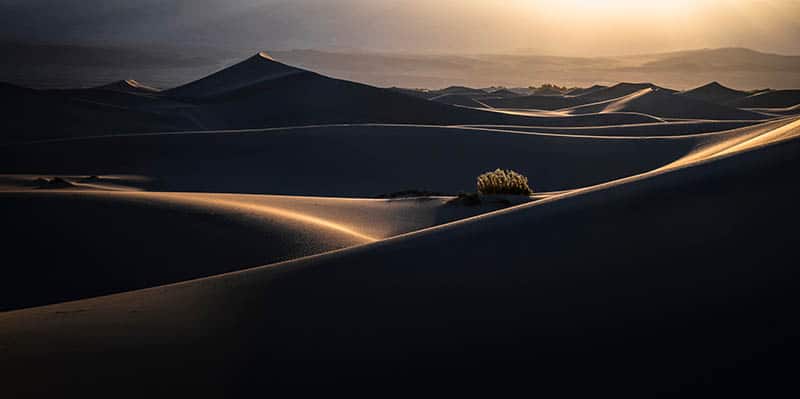 Deserts Photo