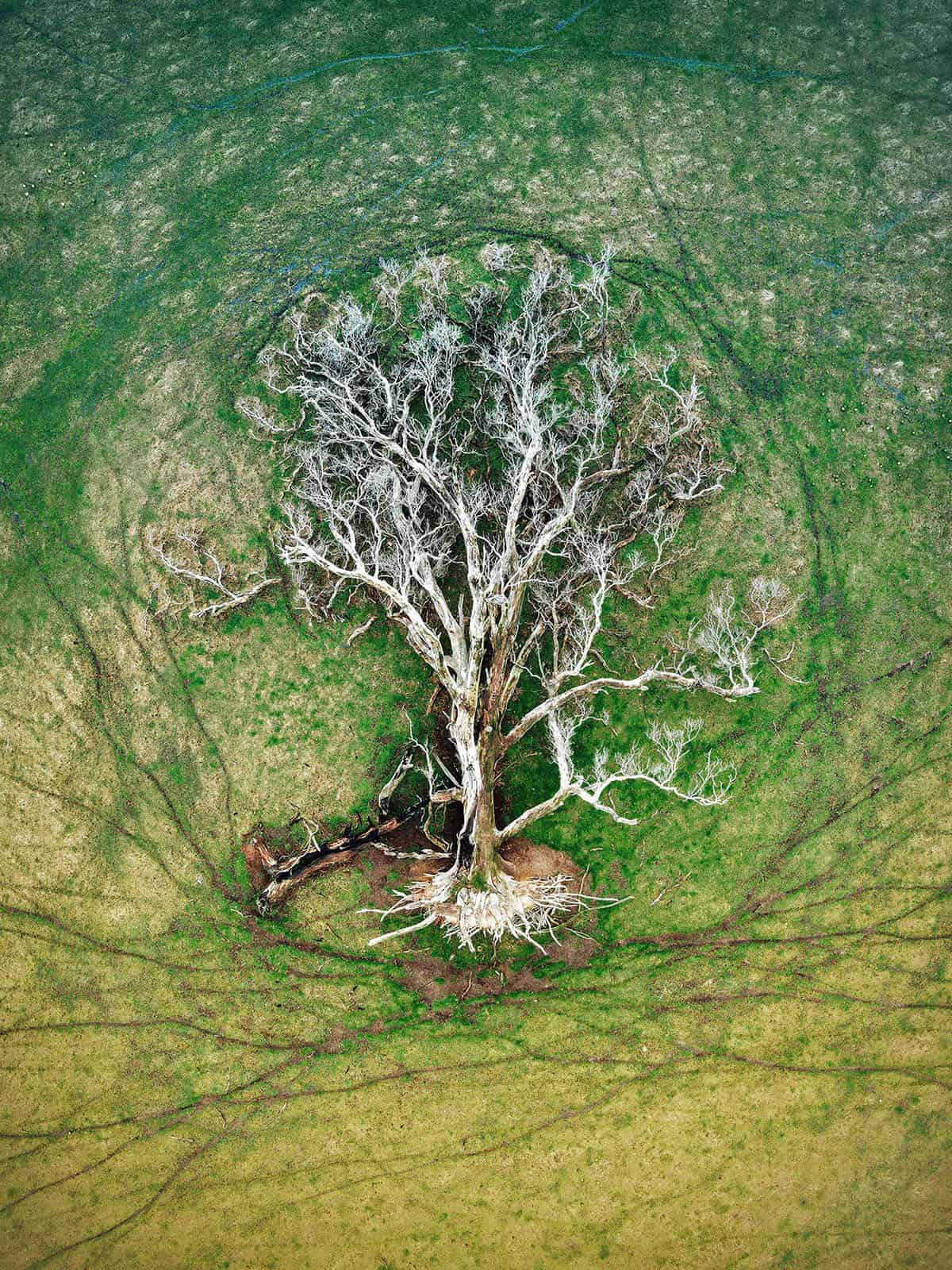 2022 Natural Landscape Photography Awards - Aerial Winner