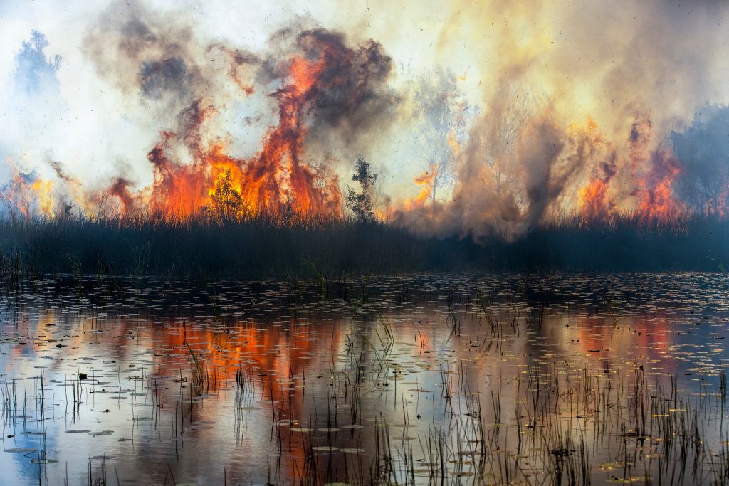 Use emotional impact and storytelling in your photography to stand out in a nature photo contest